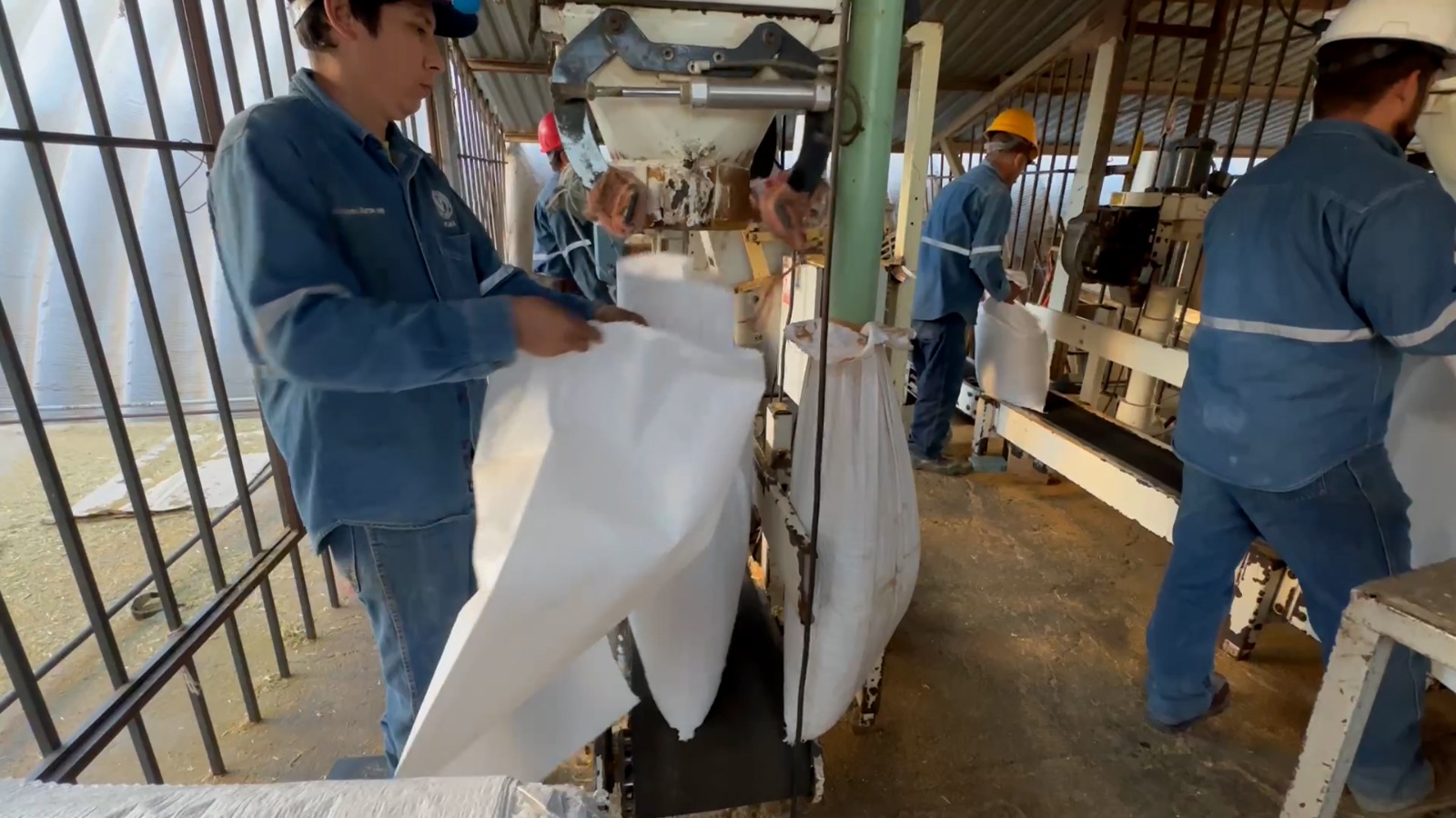 Cerca de 300 toneladas de alimento proteínico han sido entregadas a pequeños ganaderos